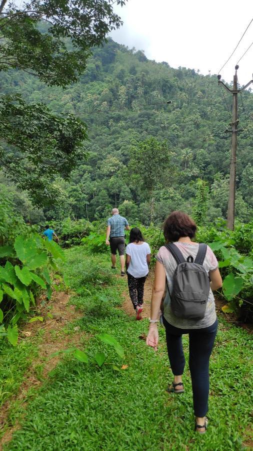 Vanilla County Heritage Plantation Bungalow Vagamon Ngoại thất bức ảnh