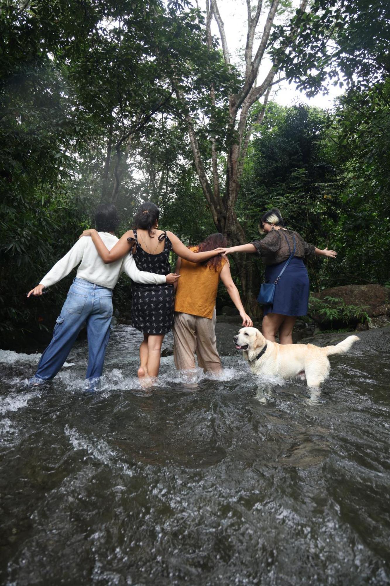Vanilla County Vagamon Ngoại thất bức ảnh