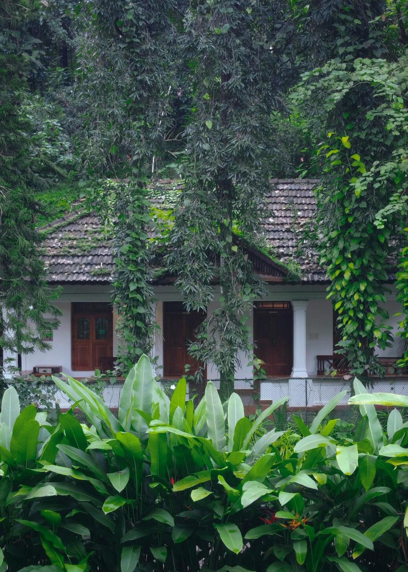 Vanilla County Vagamon Ngoại thất bức ảnh